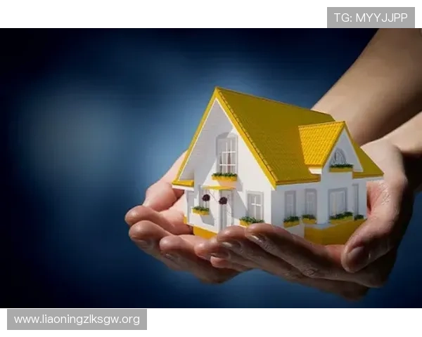 尊龙集团(Z6)用户体验优化策略：提升客户满意度与市场竞争力的实用方案